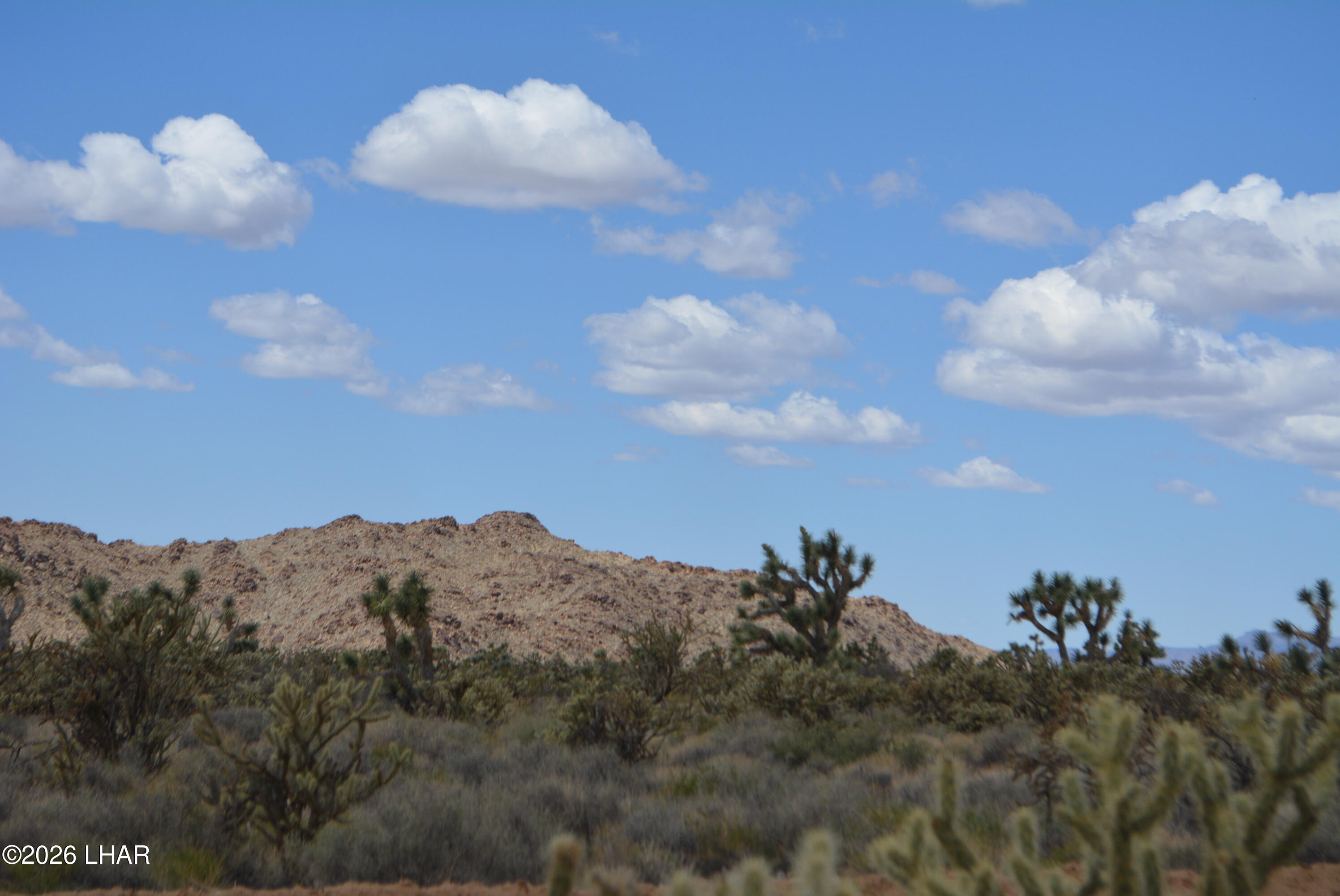 11900 Alan Road Yucca, AZ 86438 - Photo 89 of 93 DSC_1395