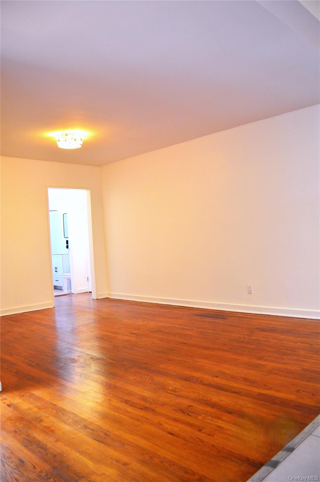 65-45 Yellowstone Boulevard, Unit 2B Queens, NY 11375 - Photo 8 of 14 a view of an ocean & mountain