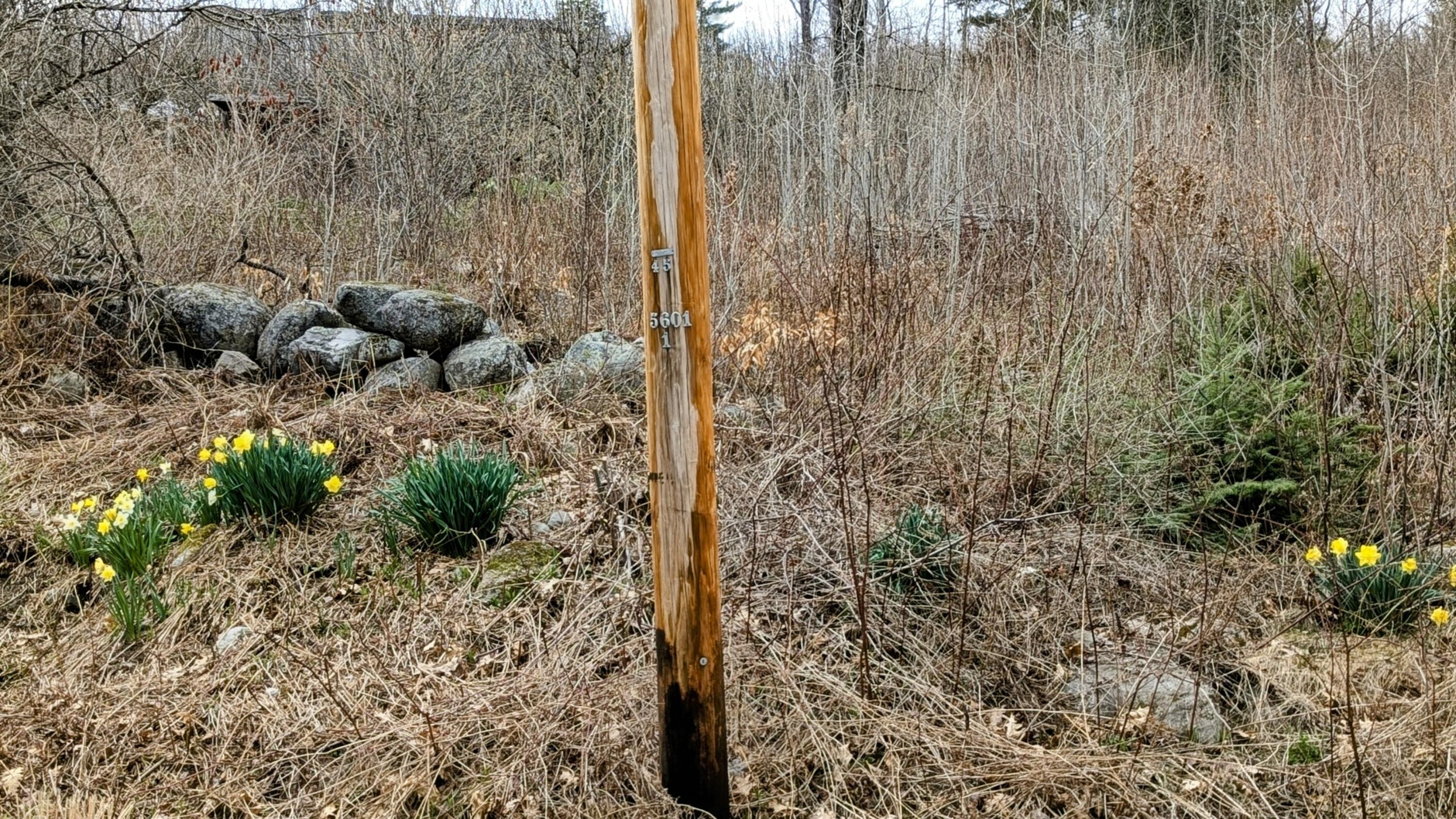 M2-l8-11 Old County Road Hartland, ME 04943 - Photo 11 of 12 Utility Pole