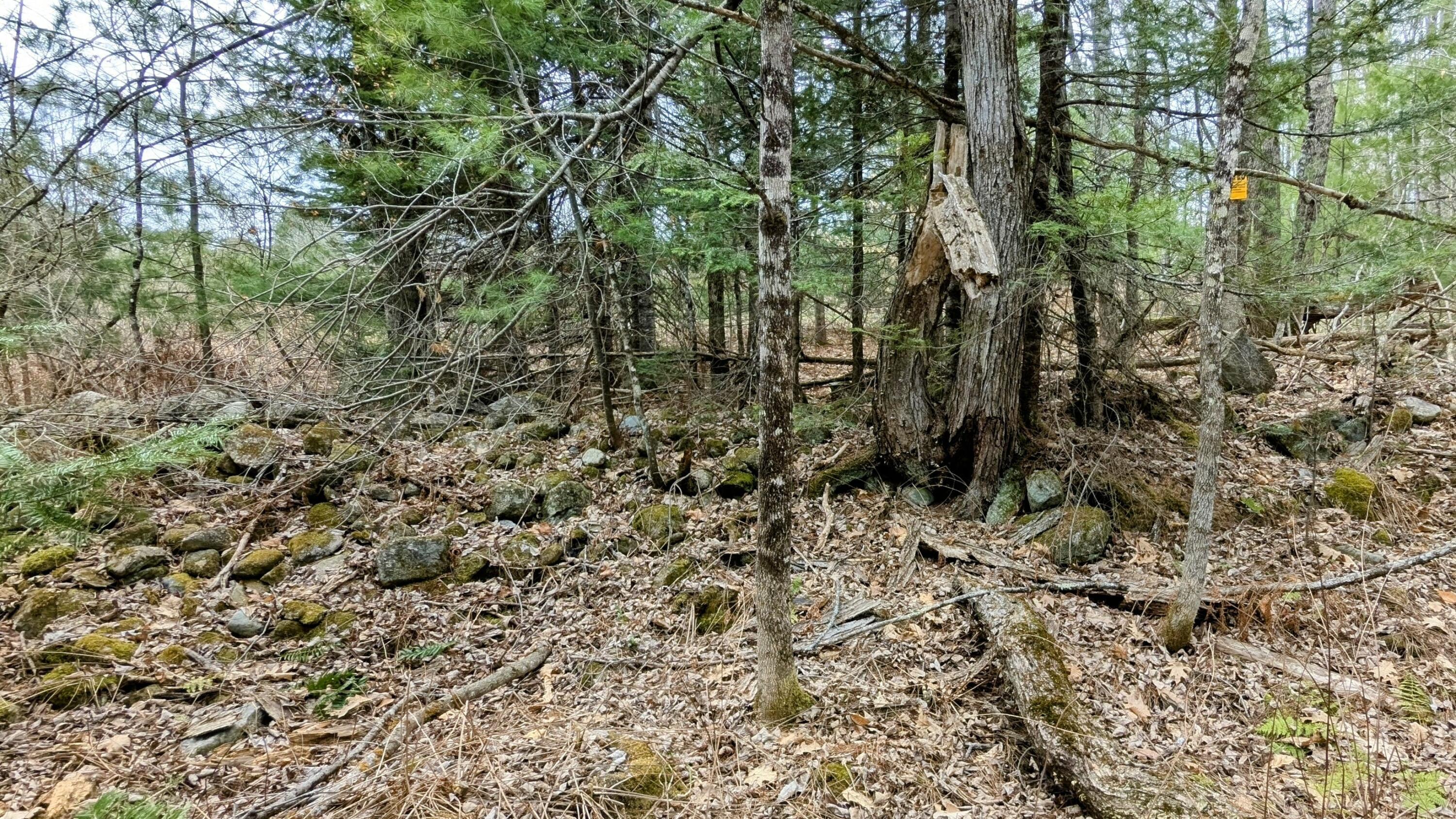 M2-l8-11 Old County Road Hartland, ME 04943 - Photo 6 of 12 Rock Wall