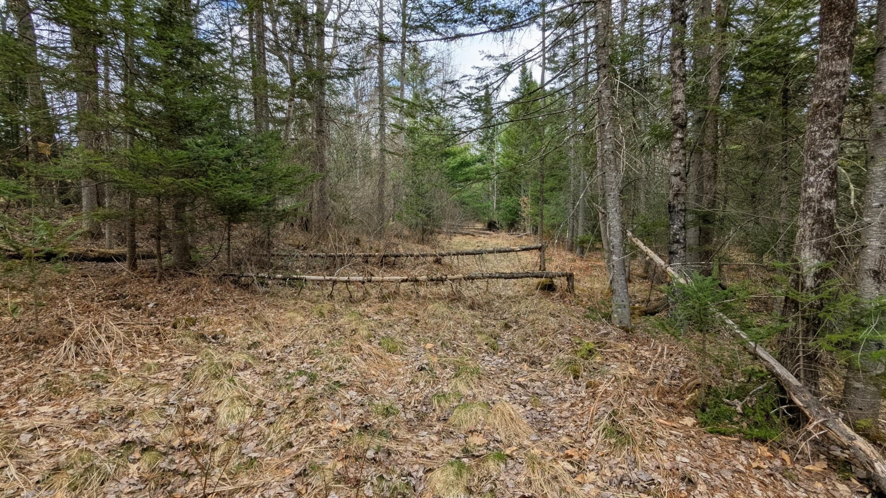 M2-l8-11 Old County Road Hartland, ME 04943 - Photo 7 of 12 Old Trail