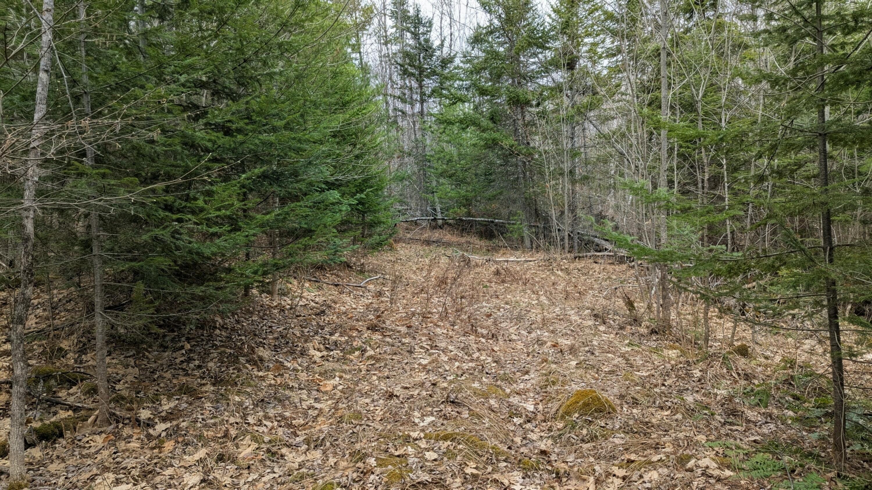 M2-l8-11 Old County Road Hartland, ME 04943 - Photo 8 of 12 Old Trail