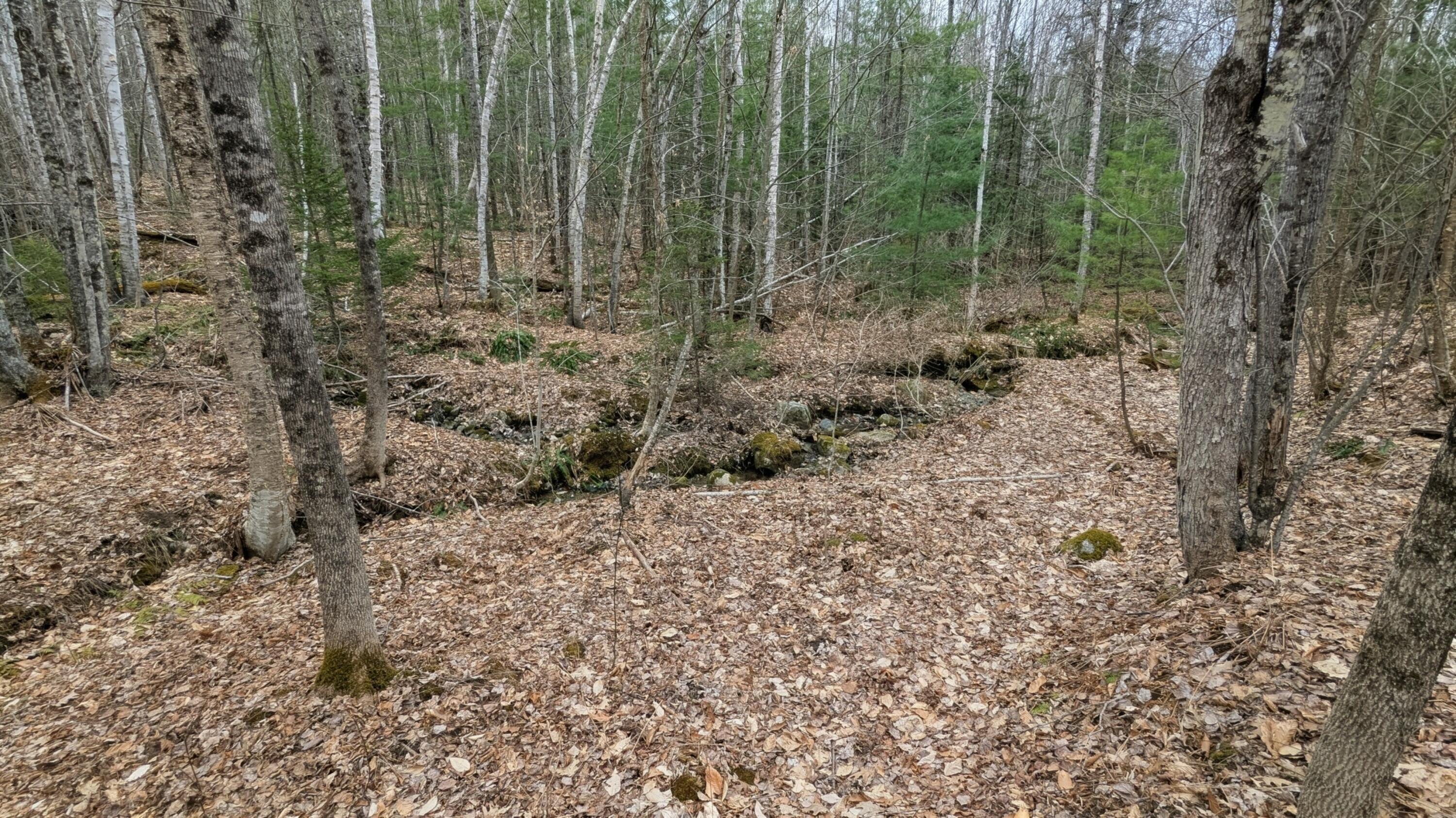 M2-l8-11 Old County Road Hartland, ME 04943 - Photo 9 of 12 Gulley