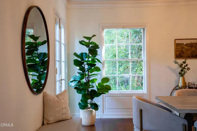 a view of a living room filled with furniture and a potted plant