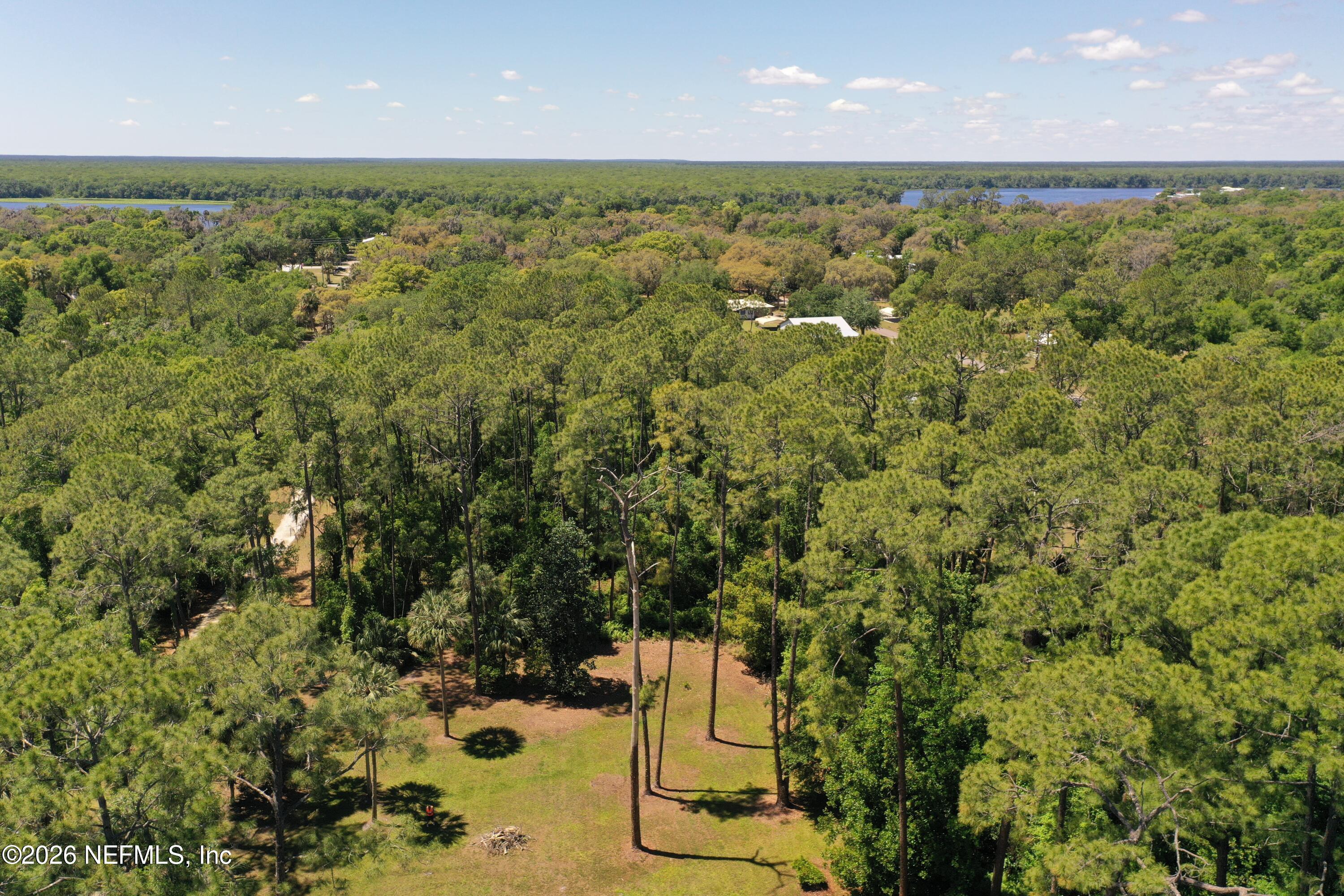 0 Walnut Street Welaka, FL 32193 - Photo 22 of 25 org_5d86cdaabe94c59e_1744476422000 (1)