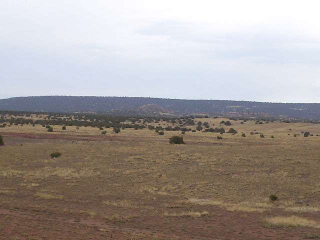L-881 L-881 Ranch Concho, AZ 85924 - Photo 1 of 4