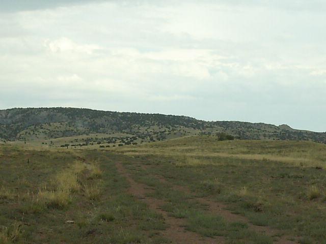 L-881 L-881 Ranch Concho, AZ 85924 - Photo 3 of 4
