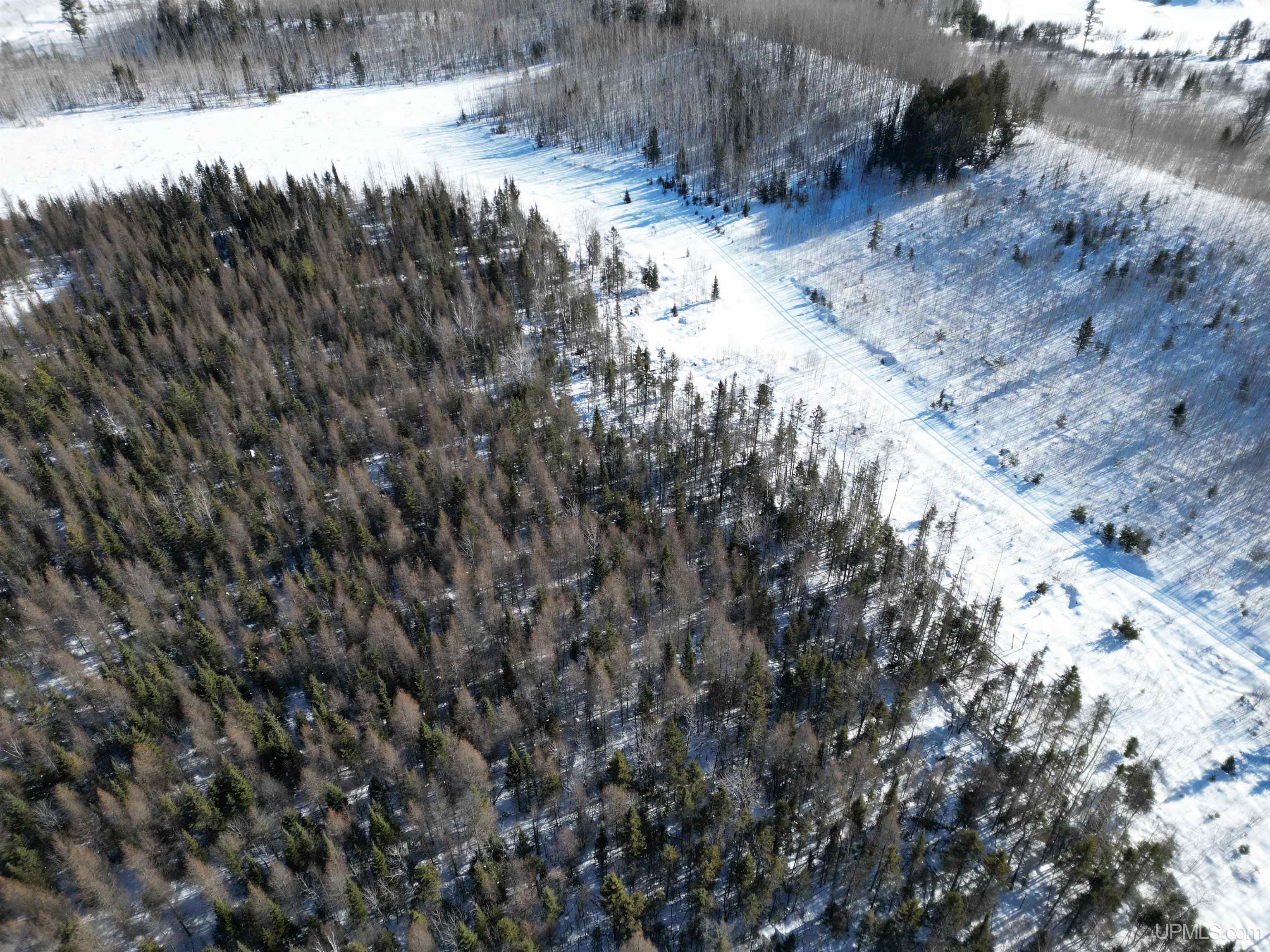 Tbd Murray 20 Road Perronville, MI 49873 - Photo 4 of 17