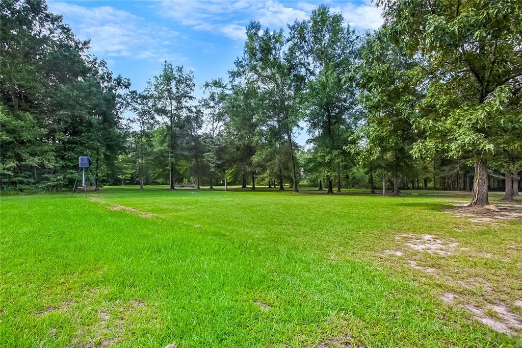 25349 Traino Road Ponchatoula, LA 70454 - Photo 17 of 18 Gallery Image 17
