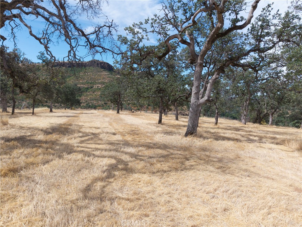 1985 Flatiron Road Chico, CA 95928 - Photo 24 of 67
