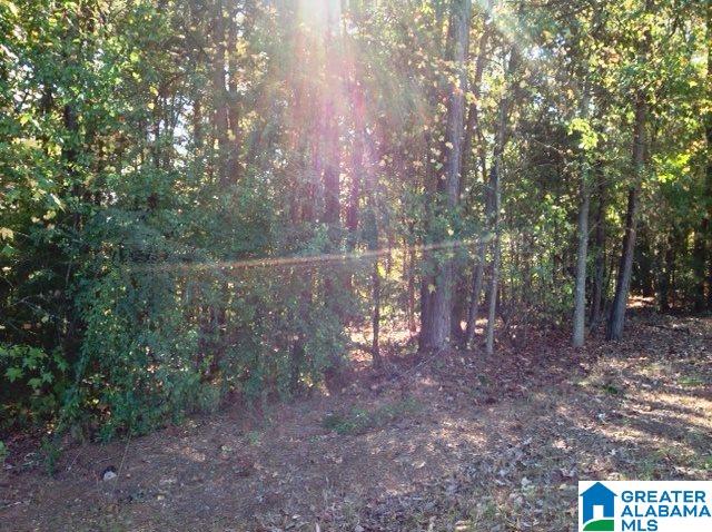 0 Whispering Pines Road, Unit 1 AMD 2 Oxford, AL 36203 - Photo 8 of 30