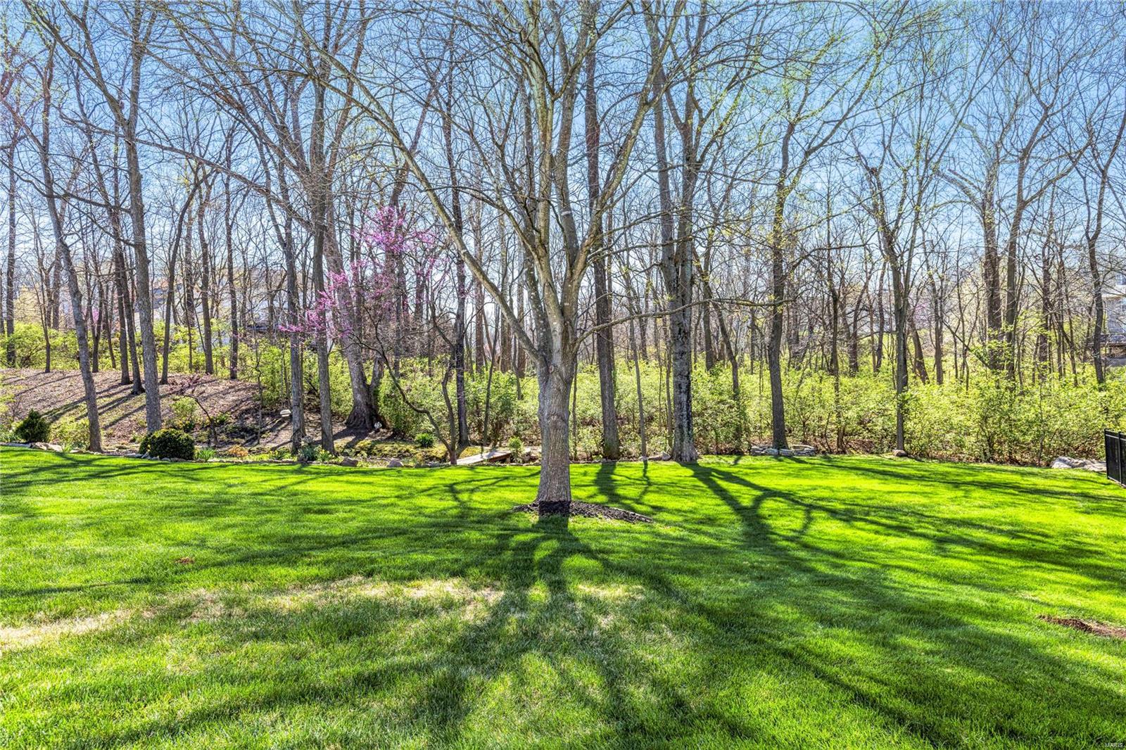 743 Blairbeth Drive Weldon Spring, MO 63304 - Photo 10 of 64