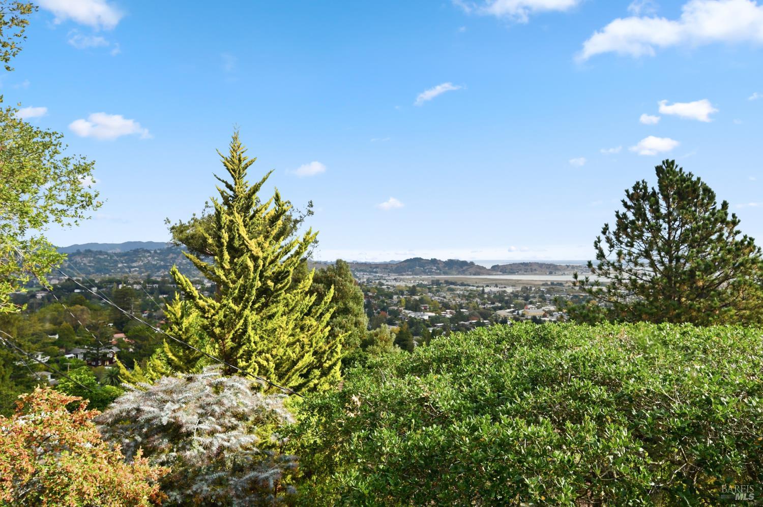 666 Redwood Avenue Corte Madera, CA 94925 - Photo 18 of 43 a view of a city