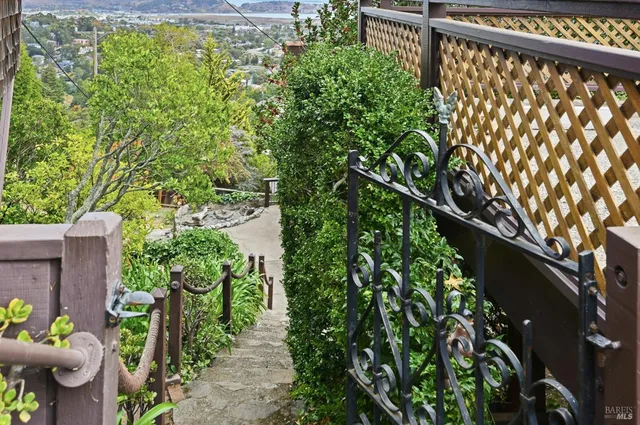 a view of a garden with plants