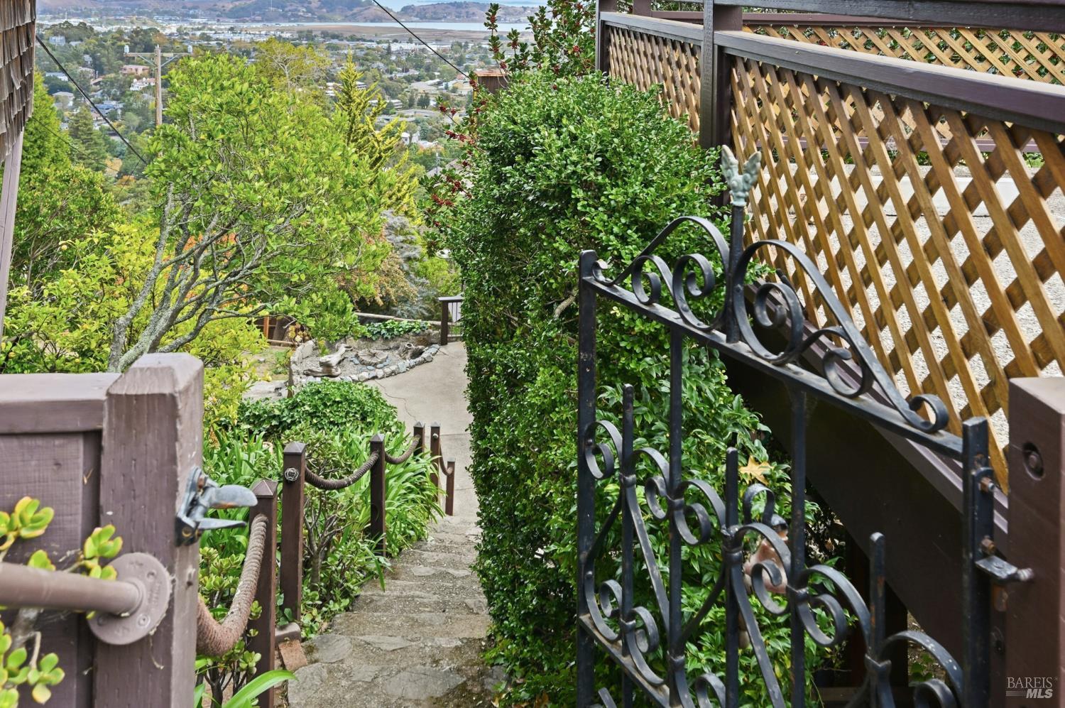 666 Redwood Avenue Corte Madera, CA 94925 - Photo 20 of 43 a view of a garden with plants