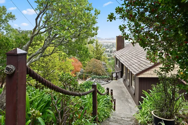 a view of a backyard with plants