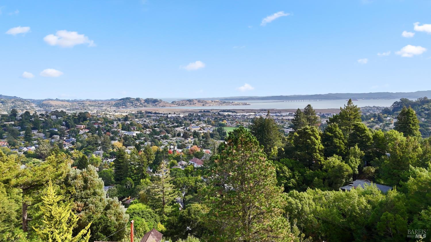 666 Redwood Avenue Corte Madera, CA 94925 - Photo 3 of 43 an aerial view of multiple house