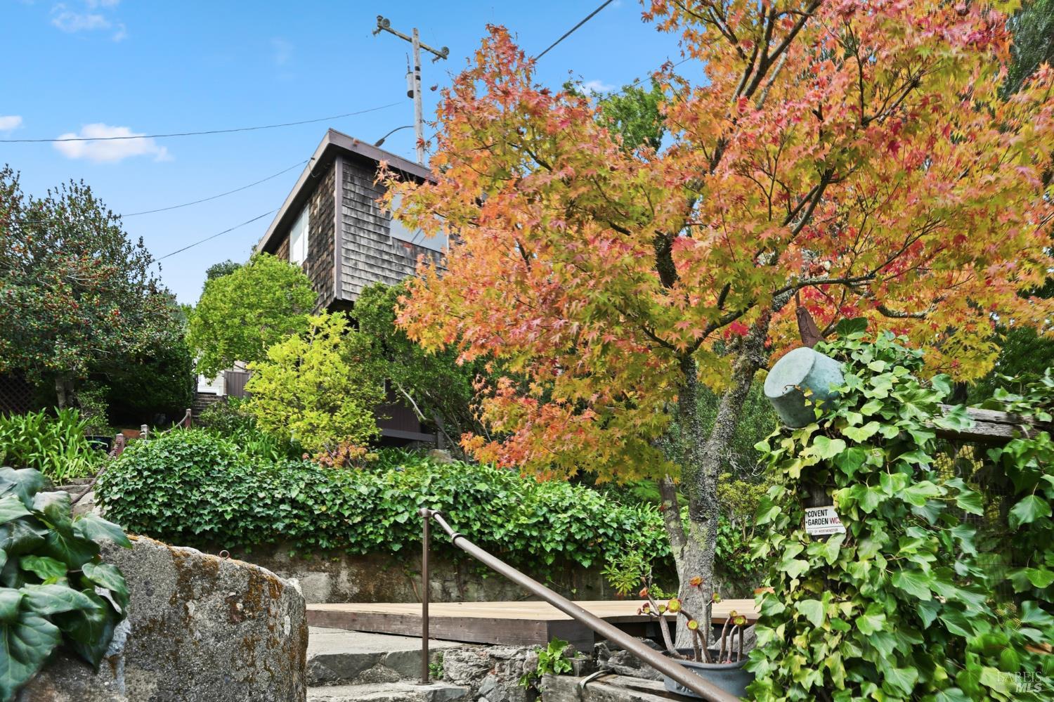 666 Redwood Avenue Corte Madera, CA 94925 - Photo 35 of 43 a backyard of a house with lots of green space