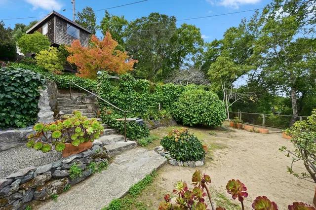 a view of a backyard with plants and a patio