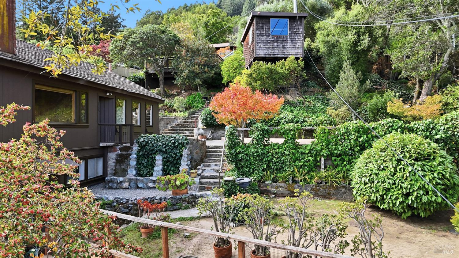 666 Redwood Avenue Corte Madera, CA 94925 - Photo 10 of 43 a view of backyard with outdoor seating and green space