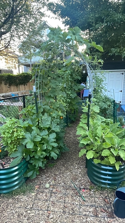 378 School Street, Unit 1 Watertown, MA 02472 - Photo 23 of 23