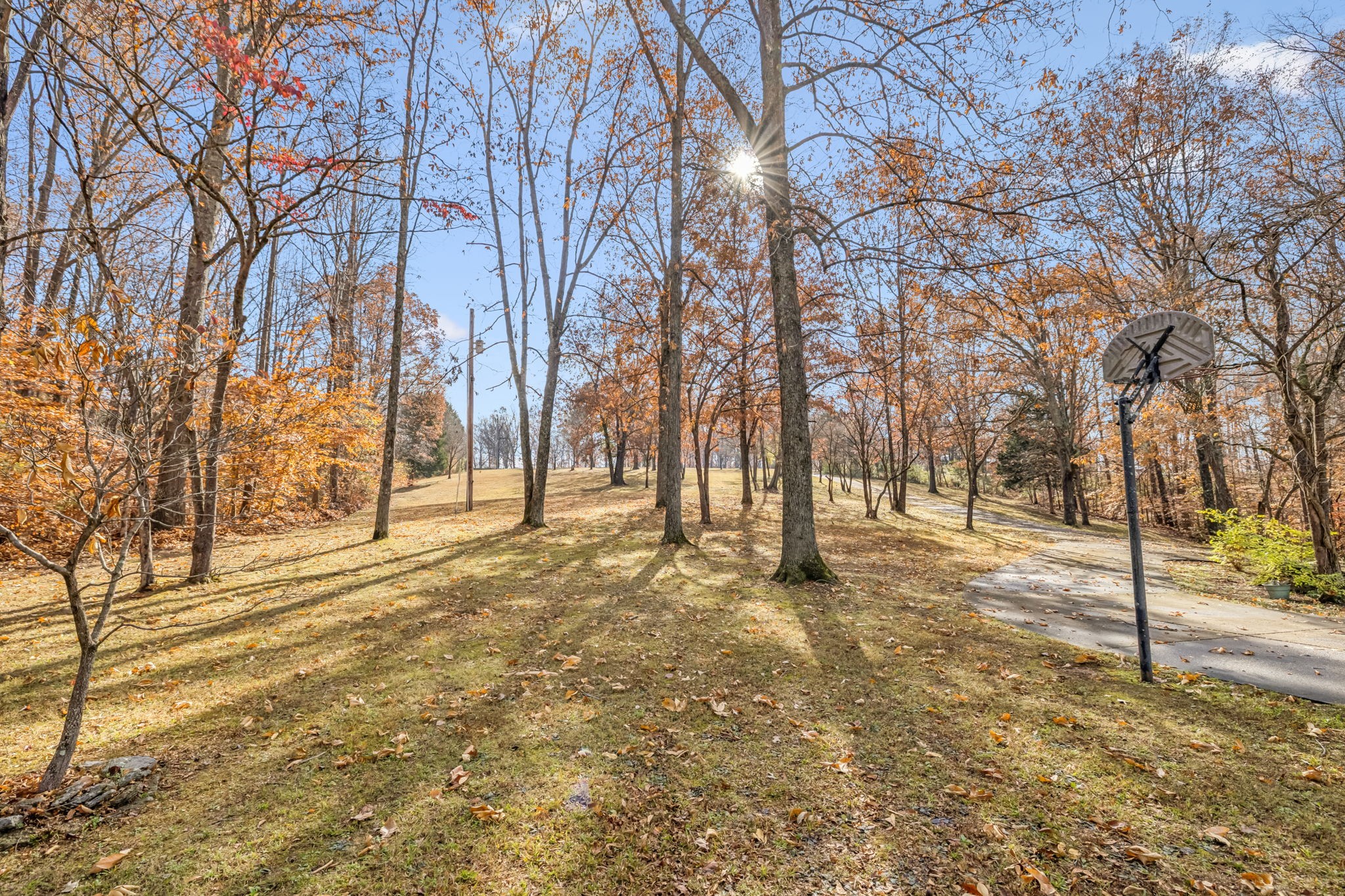 7399 Forest Glenn Road Fairview, TN 37062 - Photo 54 of 75