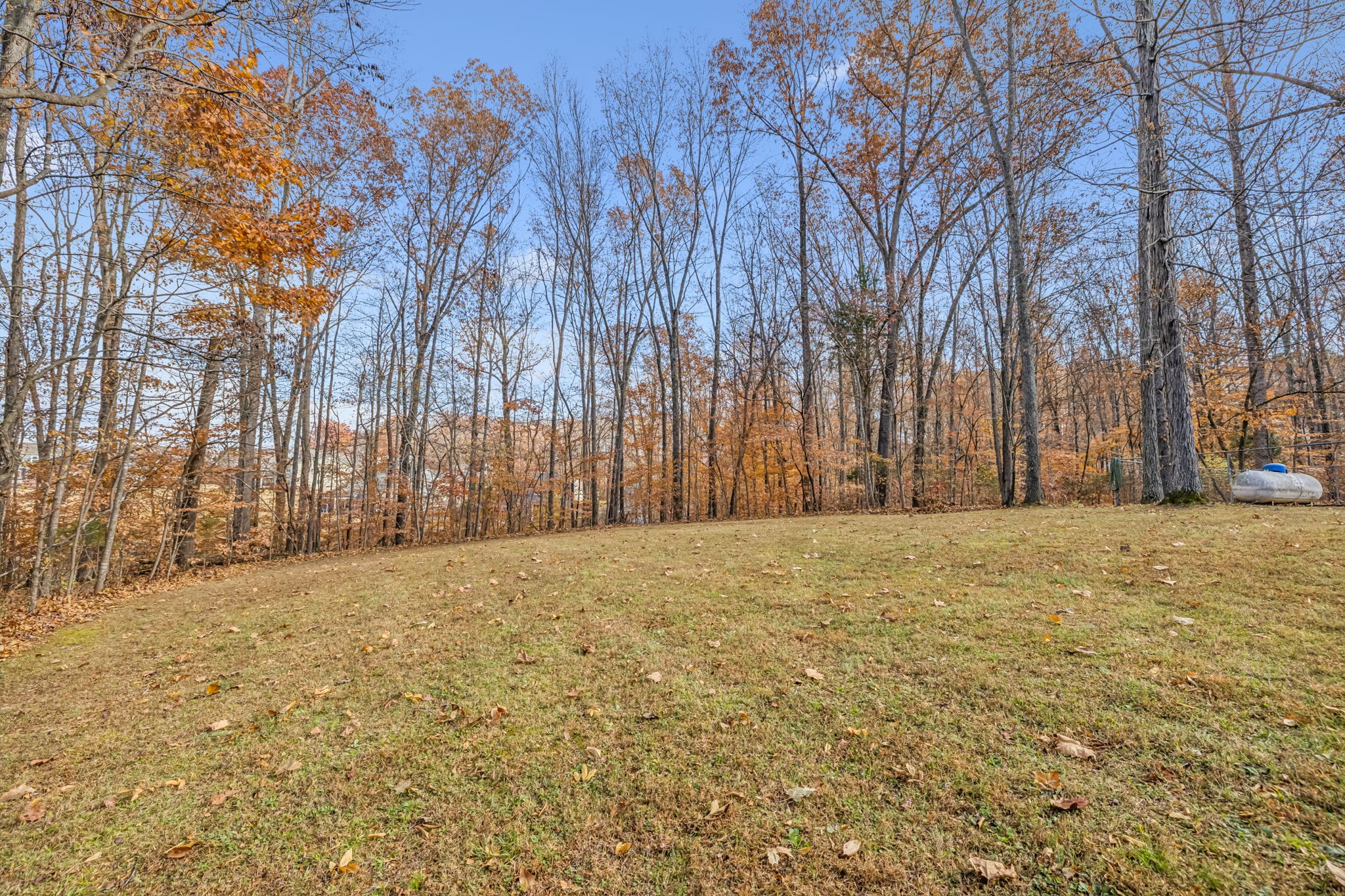 7399 Forest Glenn Road Fairview, TN 37062 - Photo 64 of 75 a view of dirt field with trees in the background