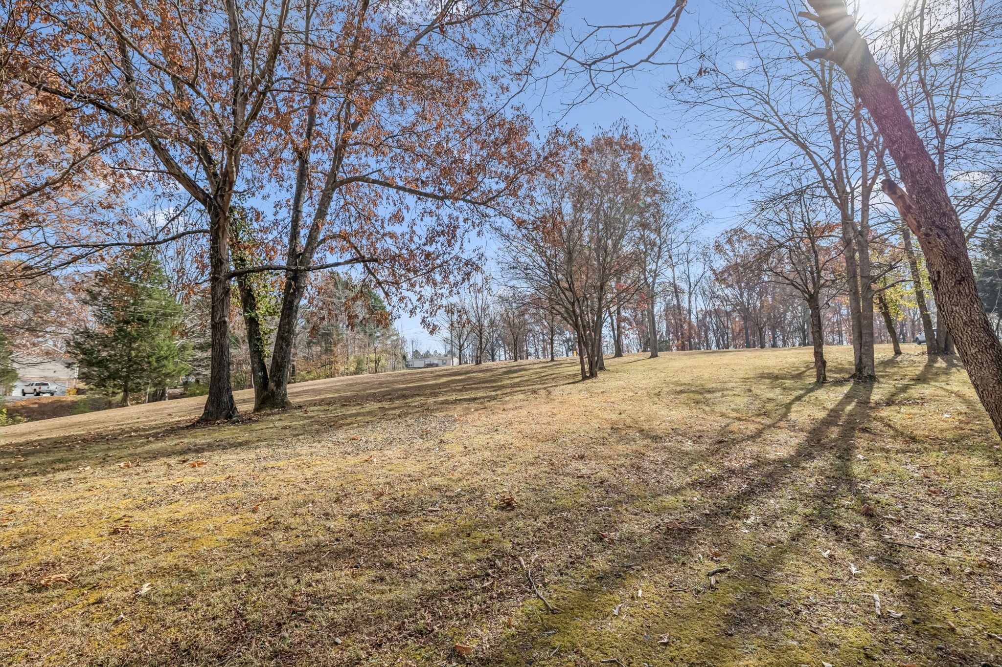 7399 Forest Glenn Road Fairview, TN 37062 - Photo 68 of 75