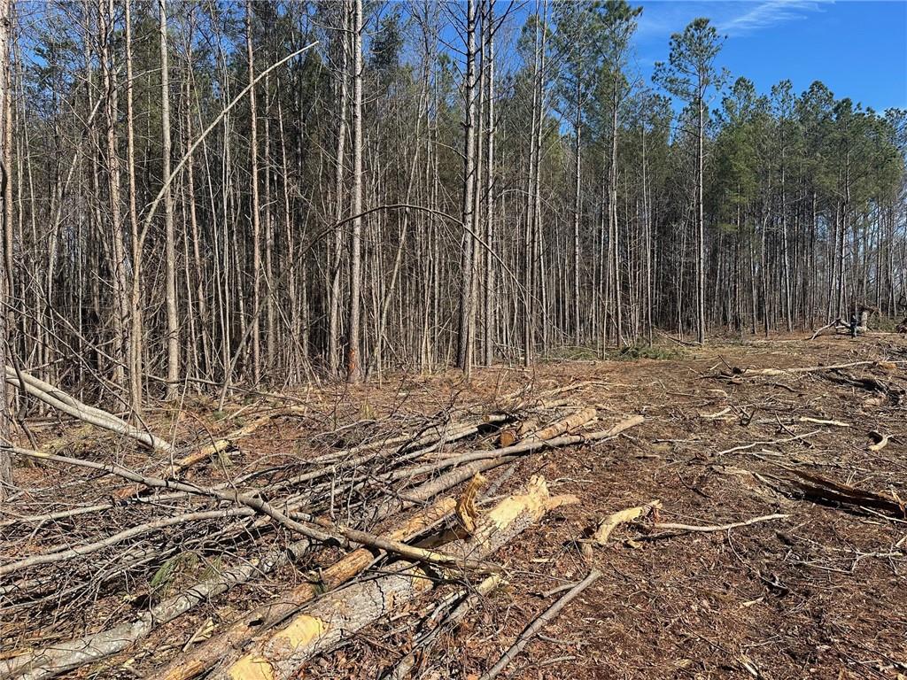500 Chapman Ridge Lane Murrayville, GA 30564 - Photo 12 of 14 a backyard of a house with lots of green space and a fountain