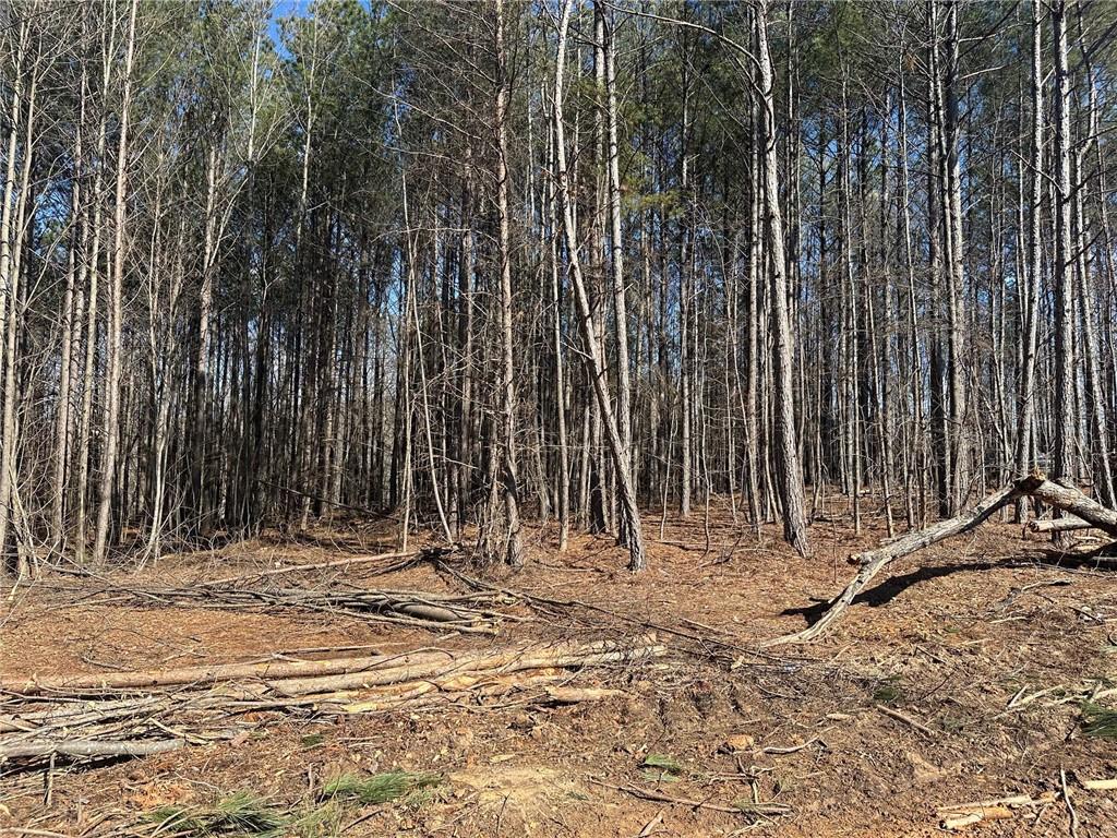500 Chapman Ridge Lane Murrayville, GA 30564 - Photo 13 of 14 a view of outdoor space with wooden fence