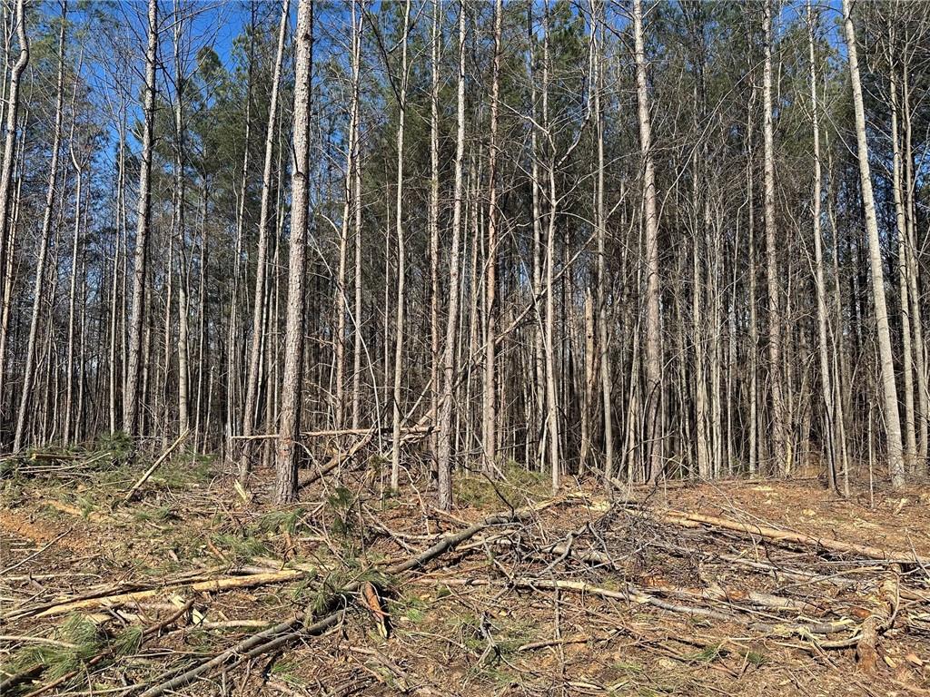 500 Chapman Ridge Lane Murrayville, GA 30564 - Photo 14 of 14