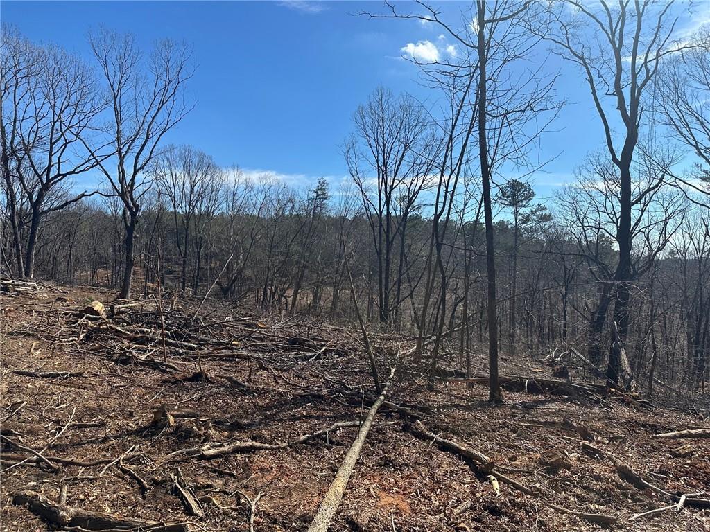 500 Chapman Ridge Lane Murrayville, GA 30564 - Photo 2 of 14 a view of a backyard