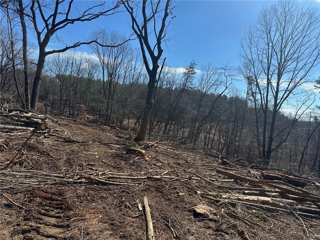500 Chapman Ridge Lane Murrayville, GA 30564 - Photo 4 of 14 a view of a yard with a tree