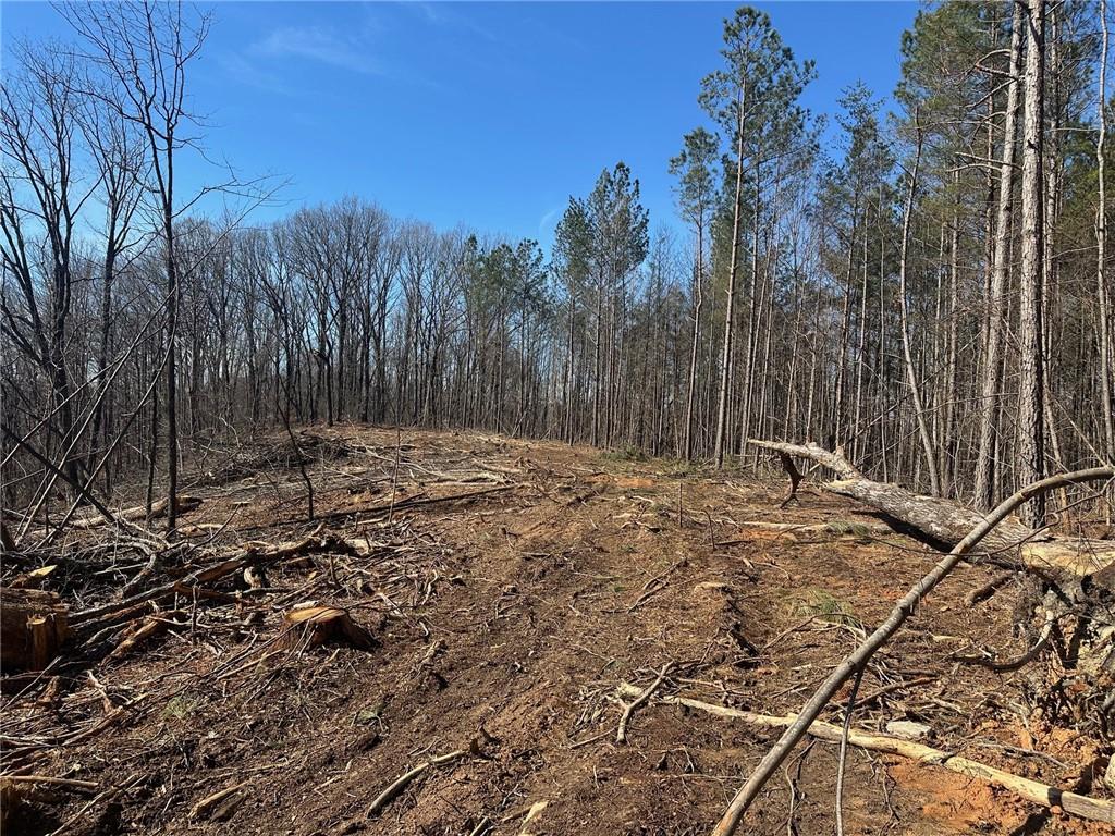 500 Chapman Ridge Lane Murrayville, GA 30564 - Photo 6 of 14 a view of backyard with green space