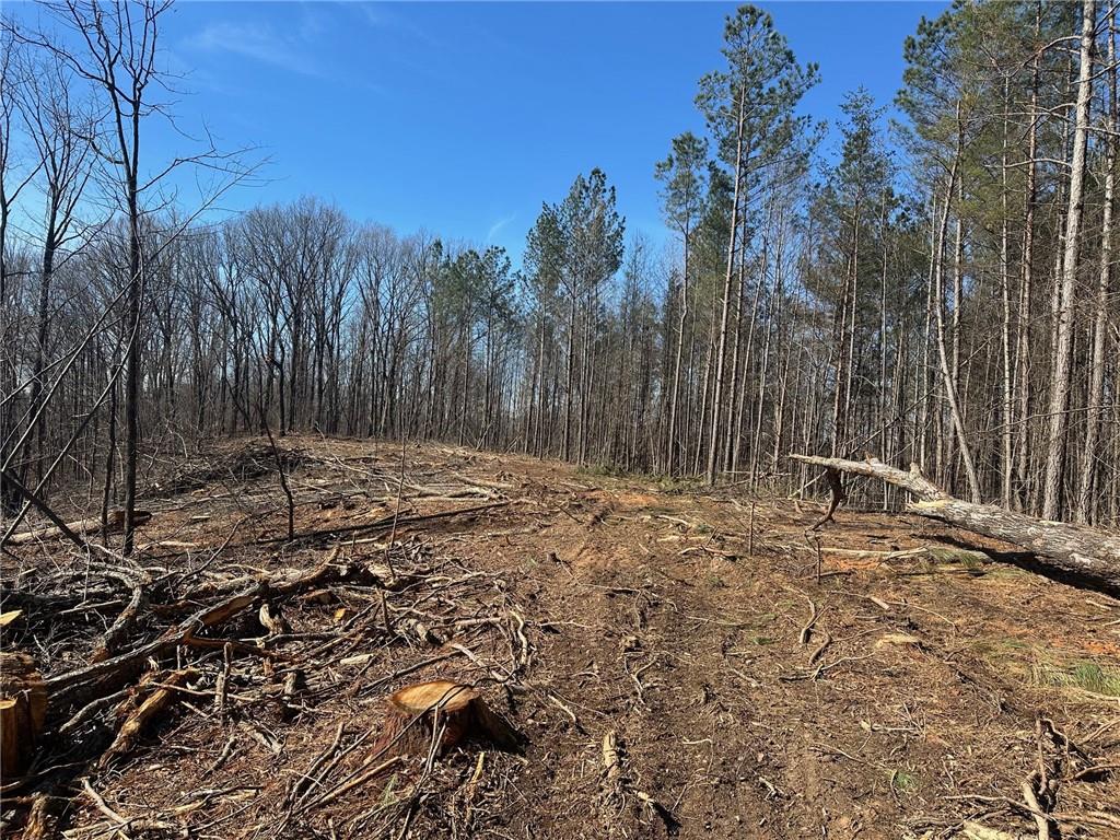 500 Chapman Ridge Lane Murrayville, GA 30564 - Photo 7 of 14 a backyard of a house with lots of green space