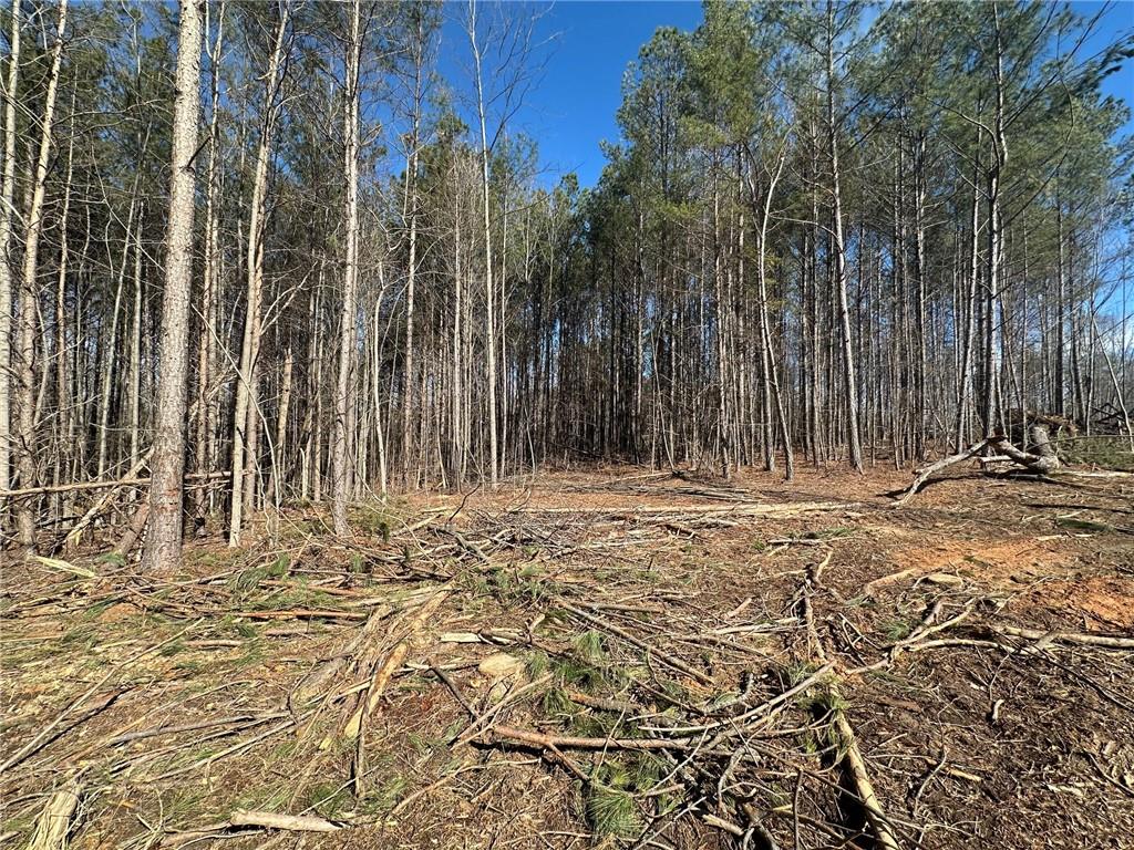 500 Chapman Ridge Lane Murrayville, GA 30564 - Photo 8 of 14 a view of wooden fence under a large tree