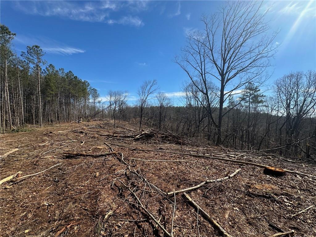 500 Chapman Ridge Lane Murrayville, GA 30564 - Photo 9 of 14 a view of a backyard with large trees
