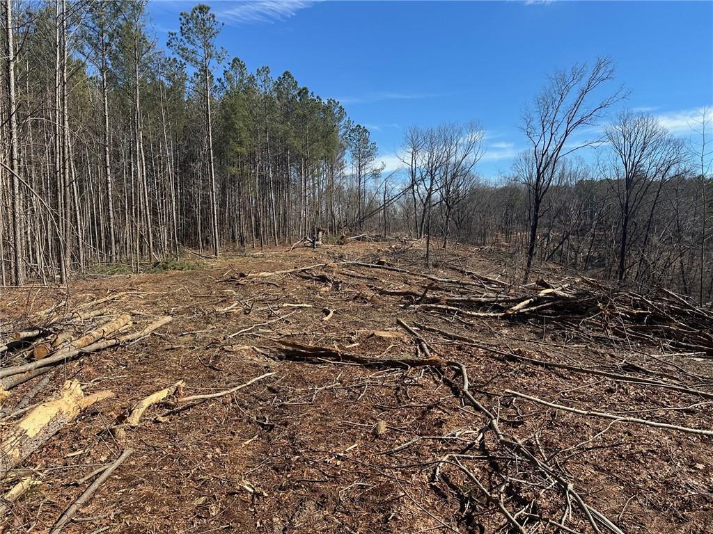 500 Chapman Ridge Lane Murrayville, GA 30564 - Photo 10 of 14 a view of a backyard of the house