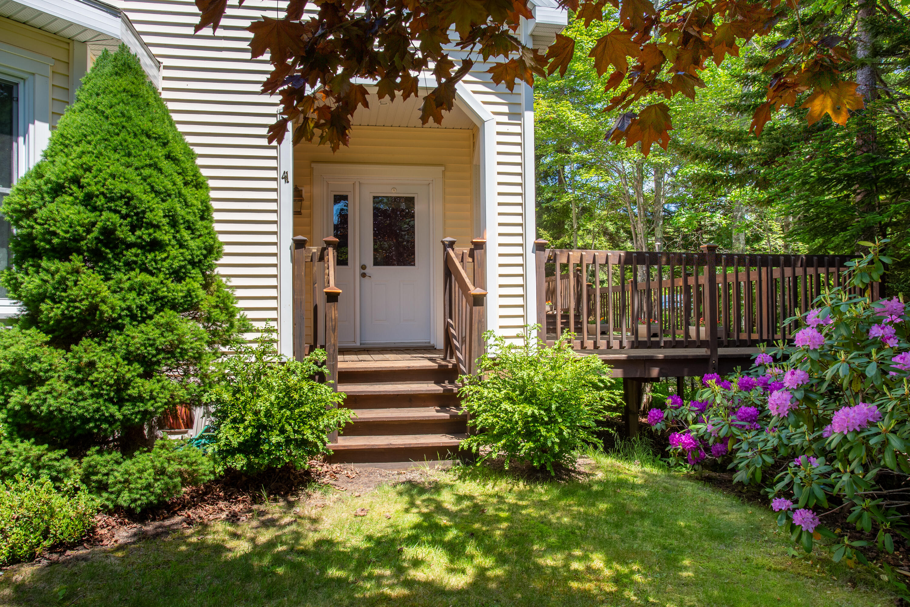 41 Jordan Pond Road Seal Harbor, ME 04675 - Photo 6 of 46 07-41JordanPondRd-SealHarbor-KS