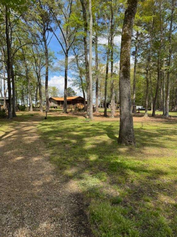 500 County Road 496 Centre, AL 35960 - Photo 37 of 44 a view of a tall trees with a big yard