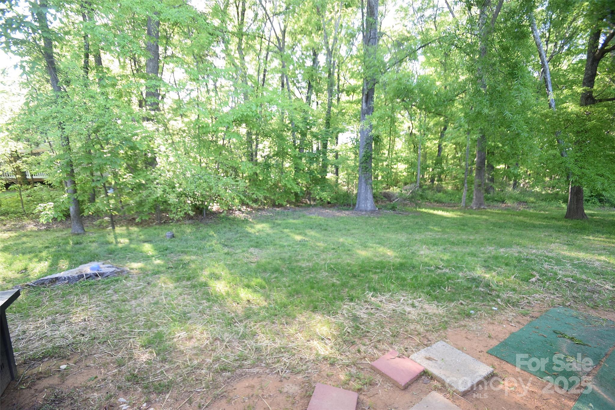 11130 Whitlock Crossing Court Charlotte, NC 28273 - Photo 26 of 27 a big yard with lots of green space and deers