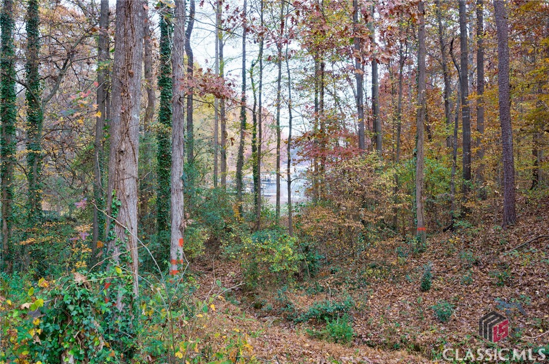 779 Ridgeview Drive Lavonia, GA 30553 - Photo 34 of 42 Gallery Image 34