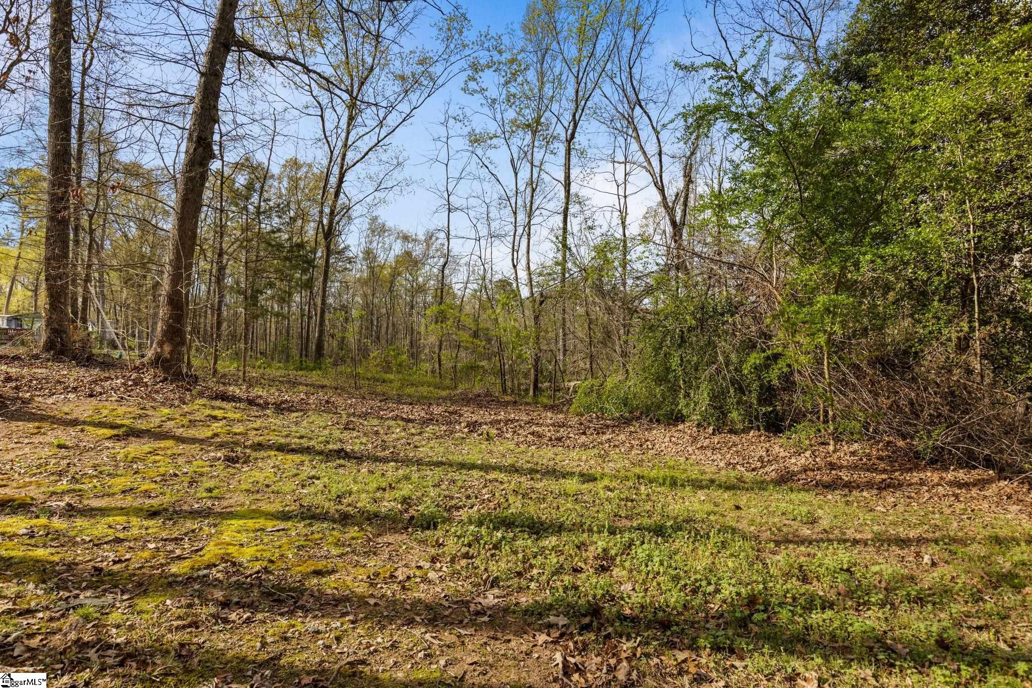 104 Nash Lane Fountain Inn, SC 29644 - Photo 4 of 20