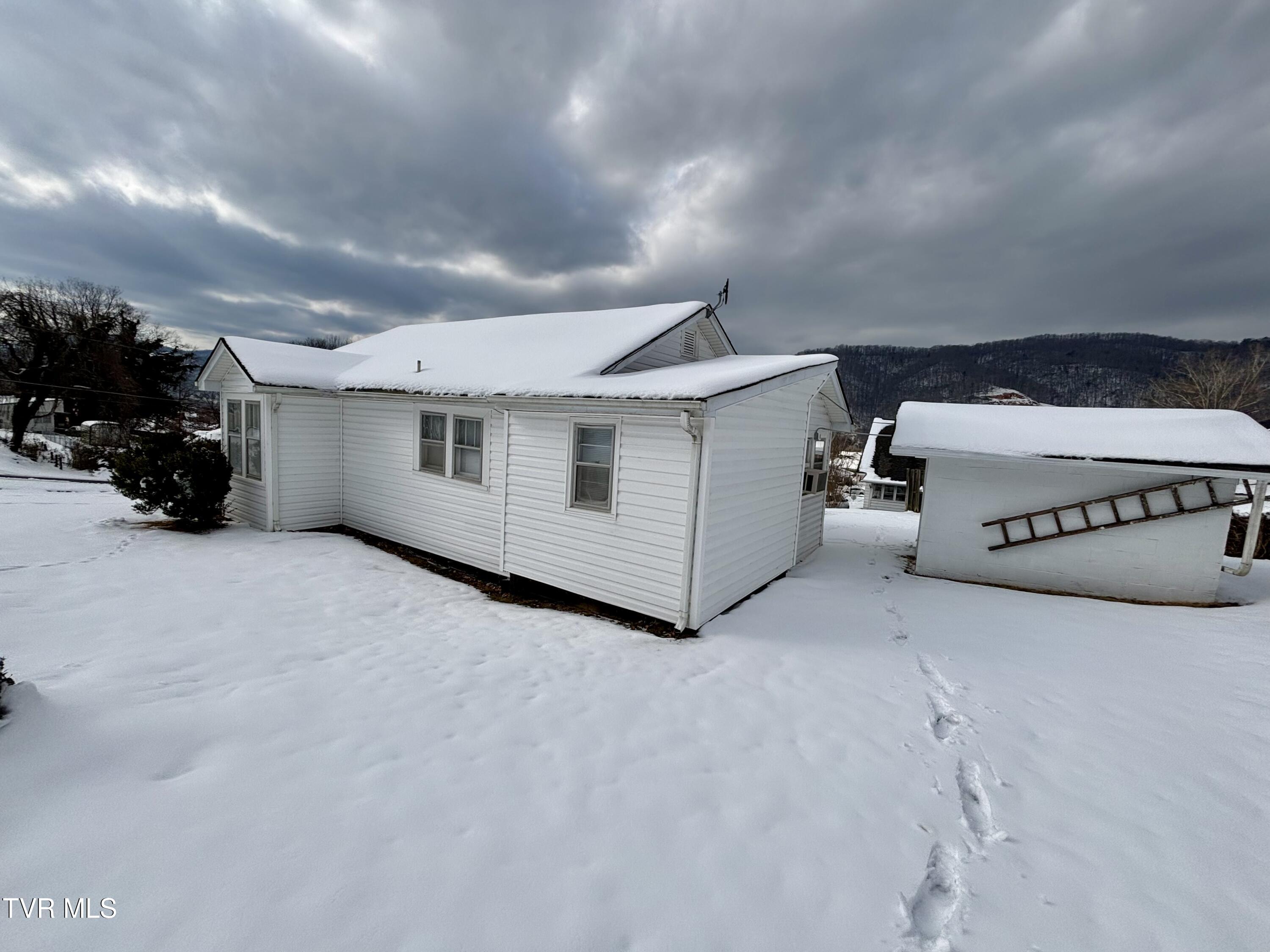 313 School Street Erwin, TN 37650 - Photo 4 of 21 IMG_6521