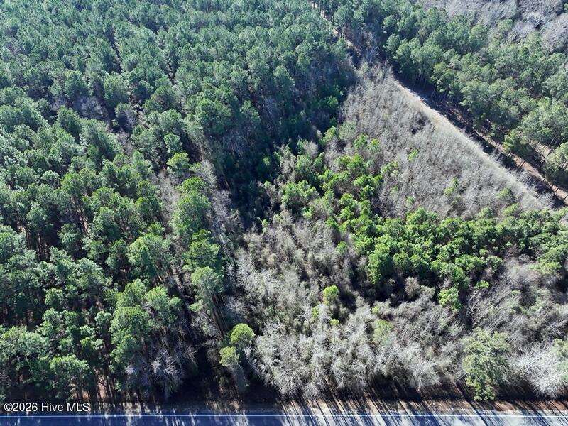130 Rd Fairmont Nc 28340 Road Rowland, NC 28383 - Photo 1 of 6 Lot 1 Stuarts Mill