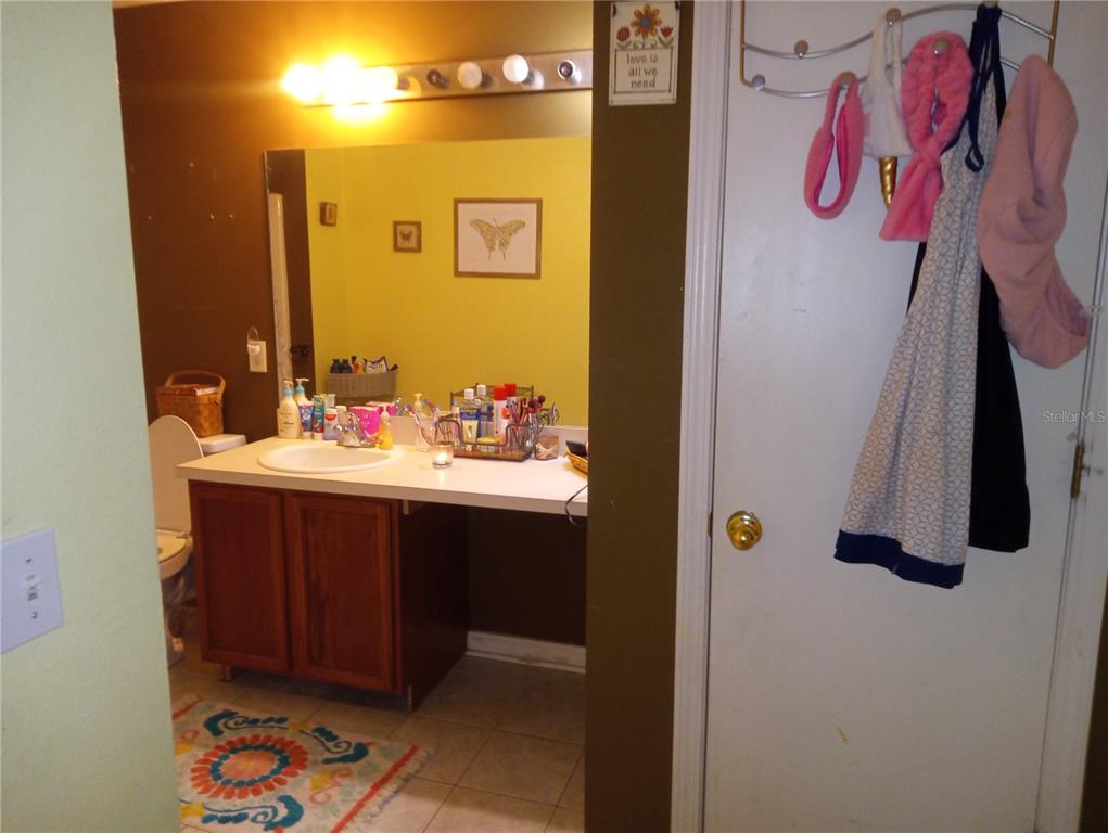 10933 Subtle Trail Drive Riverview, FL 33579 - Photo 16 of 22 a bathroom with a sink and a mirror
