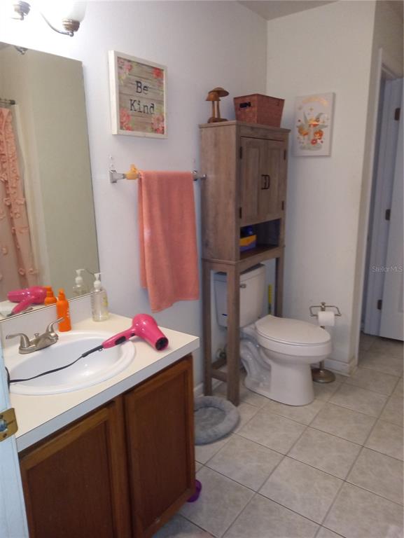 10933 Subtle Trail Drive Riverview, FL 33579 - Photo 21 of 22 a bathroom with a sink toilet and vanity