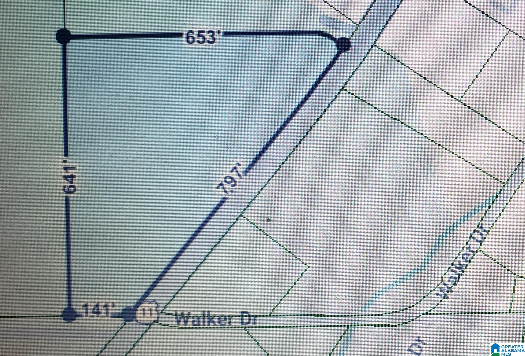 0 Us Highway, Unit 1 Springville, AL 35146 - Photo 3 of 5