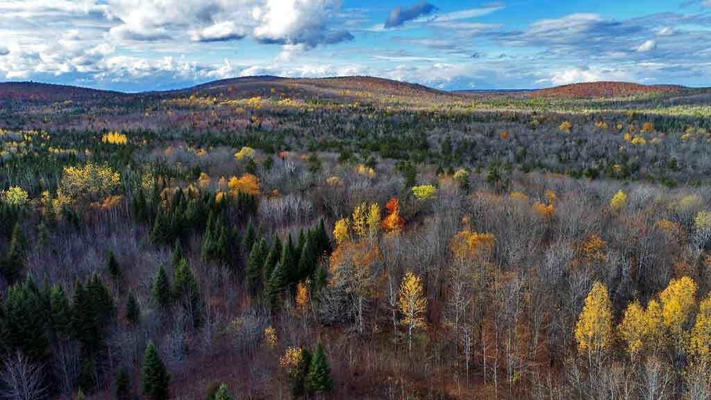 Lot 8-9 South Mill Road Smyrna Mills, ME 04780 - Photo 11 of 43 me-land-aroostook-county