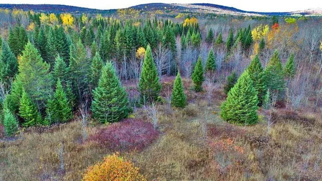 $70,000 | Lot 8-9 South Mill Road, Smyrna Mills, ME 04780